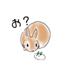 ソイのキモチ3（個別スタンプ：3）