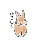 ソイのキモチ3（個別スタンプ：5）