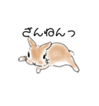 ソイのキモチ3（個別スタンプ：9）