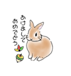 ソイのキモチ3（個別スタンプ：14）