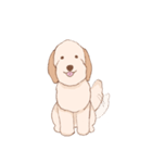 むむぱん（個別スタンプ：12）