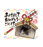 可愛い猫さん達スタンプ（個別スタンプ：30）