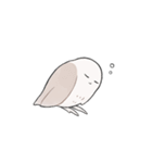 ジト目ふくろう（個別スタンプ：9）