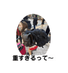 まいちゃん（part5）（個別スタンプ：15）