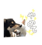 こてむぎ∵⃝（個別スタンプ：4）