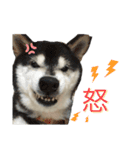 こてむぎ∵⃝（個別スタンプ：8）
