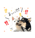 こてむぎ∵⃝（個別スタンプ：14）