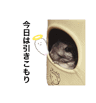 使えるこむぎスタンプ（個別スタンプ：13）