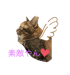 あんずちゃん其の3（個別スタンプ：5）