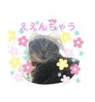 あんずちゃん其の3（個別スタンプ：8）