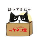 ニケネコぱんねこ（個別スタンプ：2）