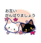 毎日が楽しい！しろねこさん 3（個別スタンプ：15）