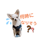 幸太郎(コタロウ)スタンプPart4（個別スタンプ：2）