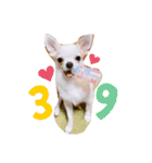 幸太郎(コタロウ)スタンプPart4（個別スタンプ：11）