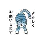 お茶目なネコ達の日常 その2  ゆる敬語（個別スタンプ：19）