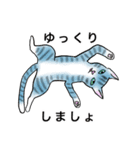 お茶目なネコ達の日常 その2  ゆる敬語（個別スタンプ：28）