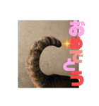 りずむ＆ココvol.2（個別スタンプ：1）