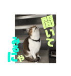 りずむ＆ココvol.2（個別スタンプ：2）