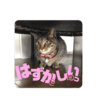 りずむ＆ココvol.2（個別スタンプ：4）
