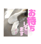 りずむ＆ココvol.2（個別スタンプ：9）