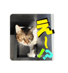 りずむ＆ココvol.2（個別スタンプ：10）