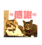 りずむ＆ココvol.2（個別スタンプ：12）