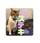 りずむ＆ココvol.2（個別スタンプ：14）
