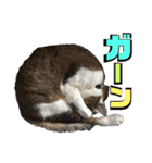 りずむ＆ココvol.2（個別スタンプ：23）
