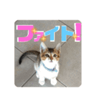 りずむ＆ココvol.2（個別スタンプ：24）