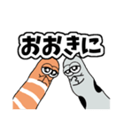 チンアナゴとニシキアナゴ (関西弁ver.)（個別スタンプ：24）