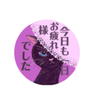 大人可愛レースな子猫達③丁寧で便利な敬語（個別スタンプ：5）