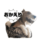 CRYSTALオリジナルスタンプ3（個別スタンプ：30）