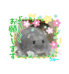 さがわふぁみりペット編（個別スタンプ：1）