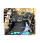 さがわふぁみりペット編（個別スタンプ：3）