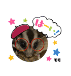 さがわふぁみりペット編（個別スタンプ：4）