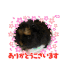 さがわふぁみりペット編（個別スタンプ：6）