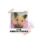 さがわふぁみりペット編（個別スタンプ：8）