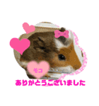 さがわふぁみりペット編（個別スタンプ：9）