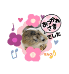 さがわふぁみりペット編（個別スタンプ：11）