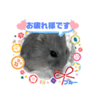 さがわふぁみりペット編（個別スタンプ：13）
