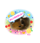 さがわふぁみりペット編（個別スタンプ：16）