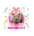 さがわふぁみりペット編（個別スタンプ：17）