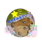 さがわふぁみりペット編（個別スタンプ：18）