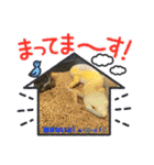 さがわふぁみりペット編（個別スタンプ：21）