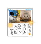 さがわふぁみりペット編（個別スタンプ：23）