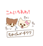 潜り動物【基本編】 へんてこアニマル（個別スタンプ：1）