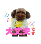 ♡廣岡犬♡（個別スタンプ：11）