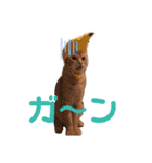 ちーゃの猫たち（個別スタンプ：2）