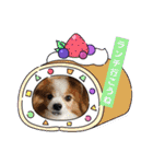 ぱぴぱぴパピヨン58（個別スタンプ：17）