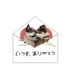♡こたろう＆ぷに（個別スタンプ：1）